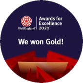 gold-award-2
